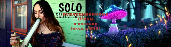 spice Михайловск