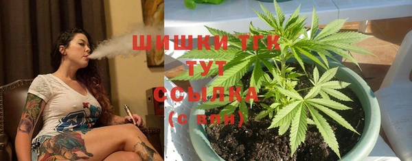 гидропоника Михайловка