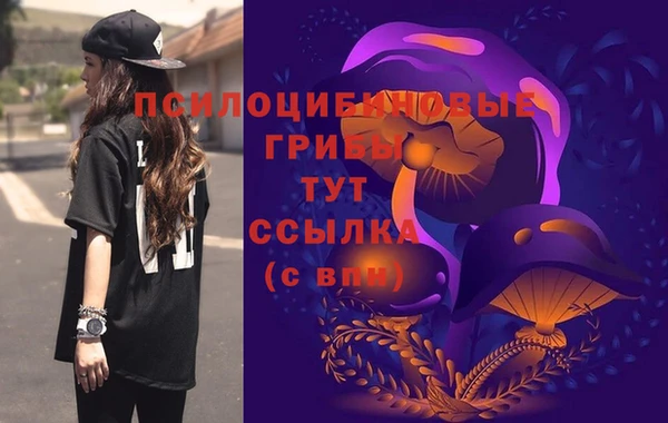 spice Михайловск